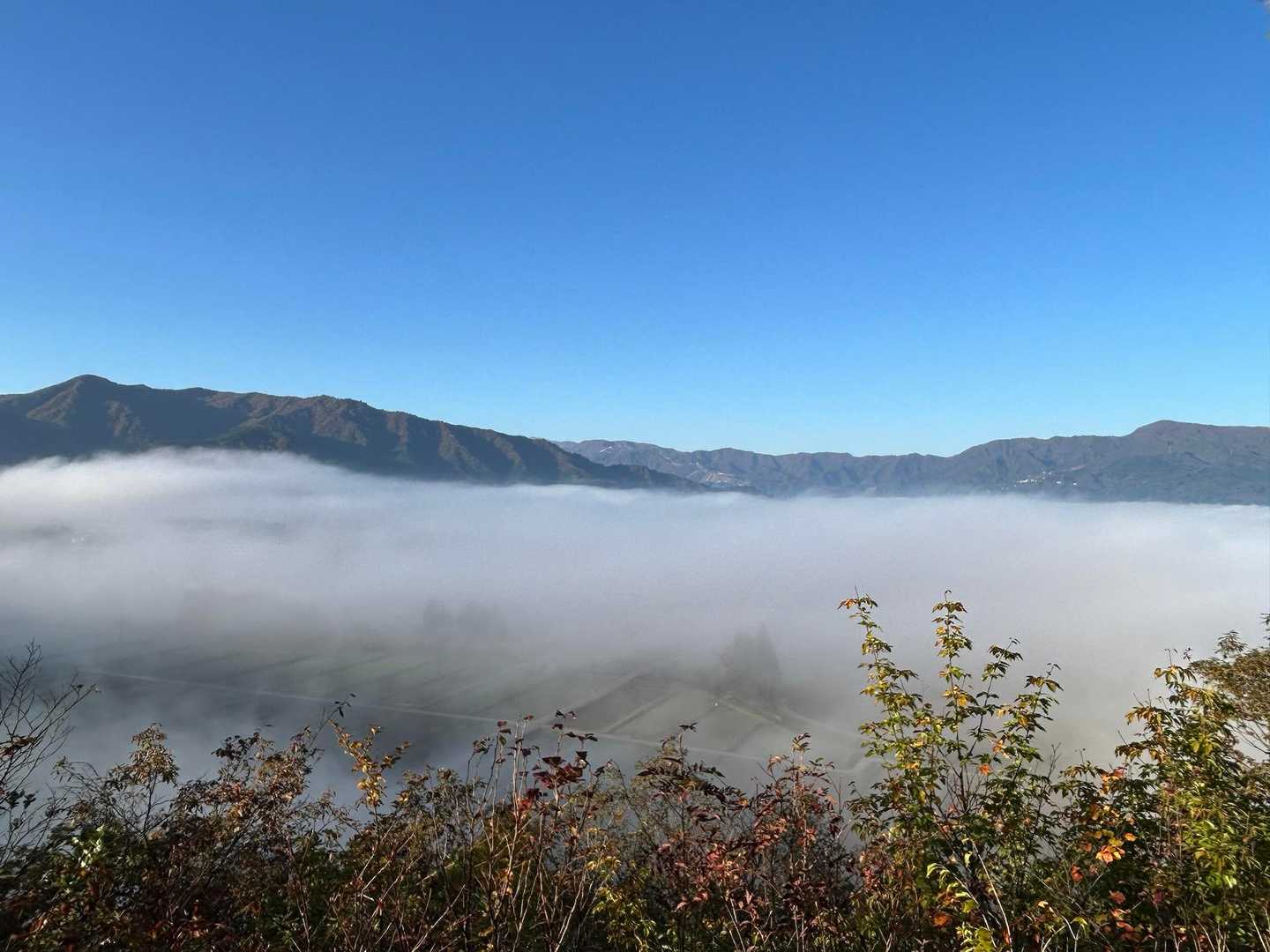 金城山（観音山登山口）の写真