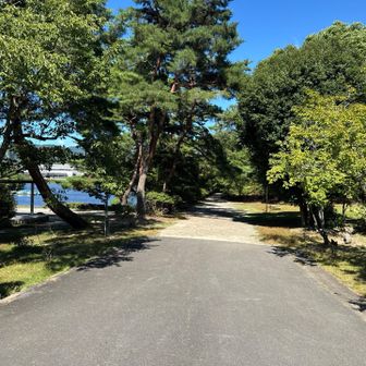 宝ヶ池公園の中を抜け、国際会館駅に向かう😌