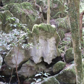 ❛こうぞう岩❜
 
フクロウとのこと🦉＊
こちらも居合わせた方が教えてくださりました(ꈍᴗꈍ) 
ありがとうございました！