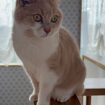ユーザーtf