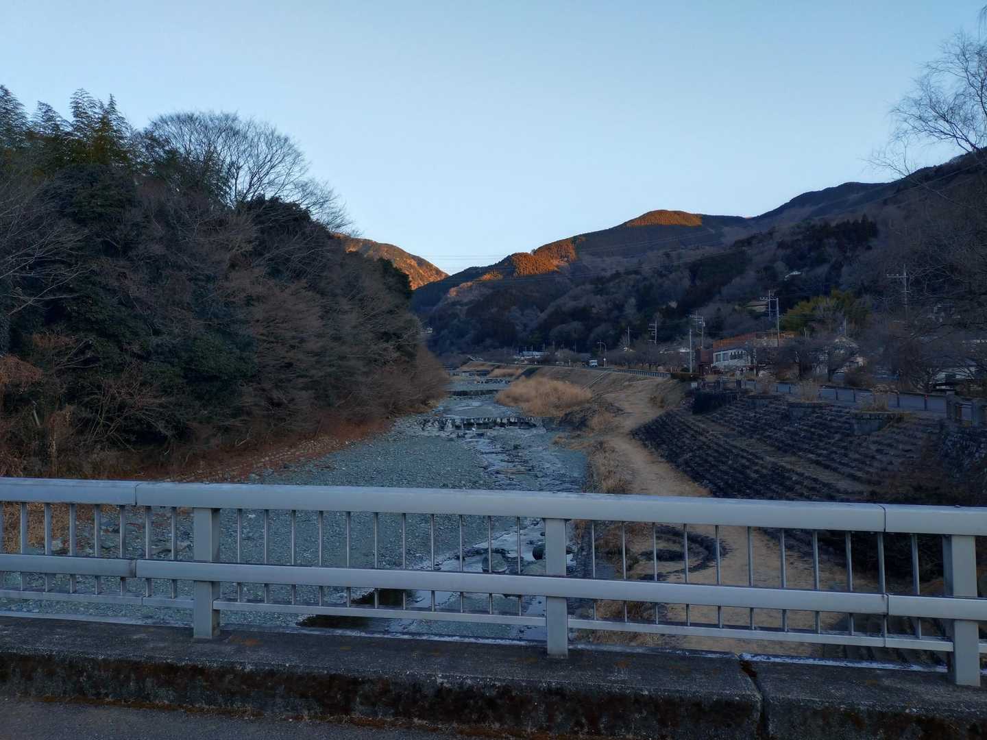 マカロン　マクロン（大統領）