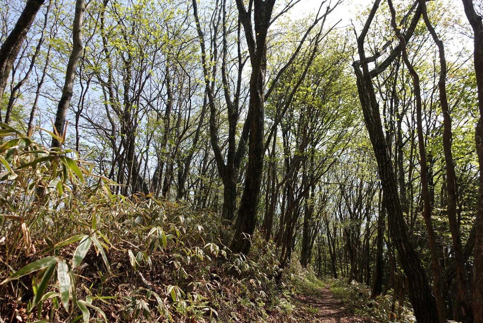気持ち良い爽やかな朝〜です🍀