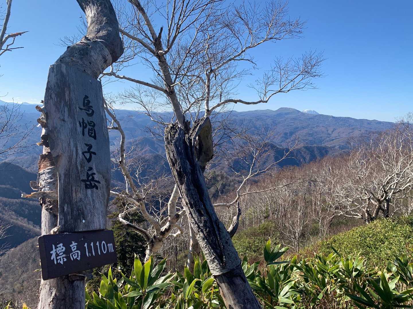 山頂とうちゃくー😆🙌
