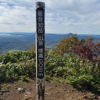 敏音知岳山頂🚩