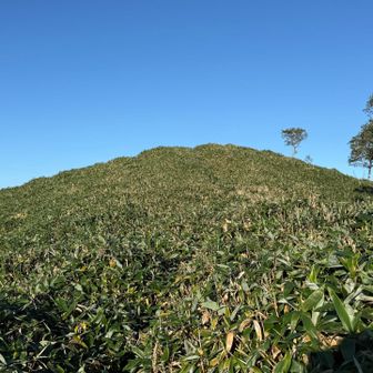 まずは白髪山へ
笹漕ぎ