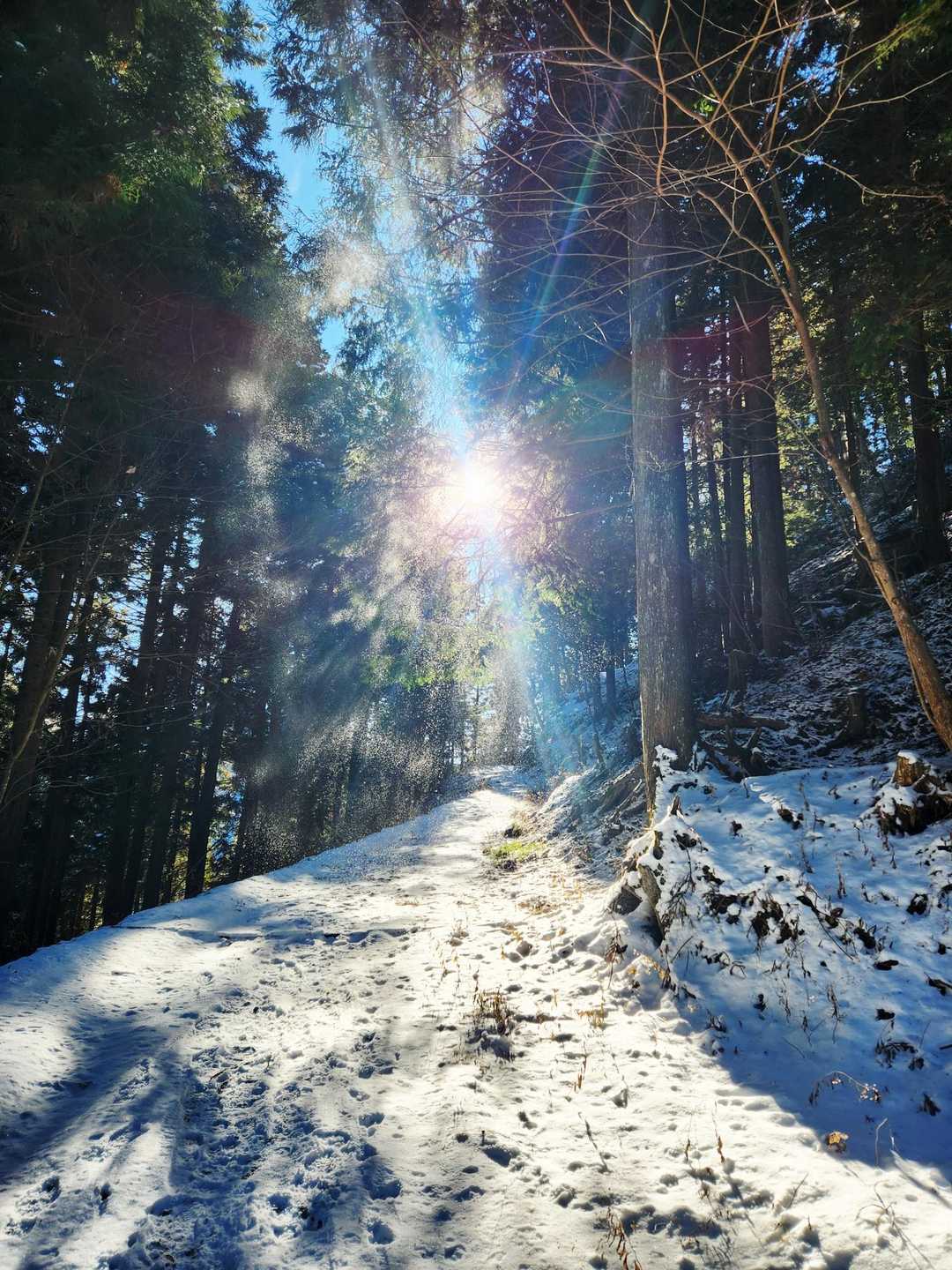 風で雪が舞って太陽の光でキラキラしてた
写真じゃよく伝わらないけど凄い綺麗