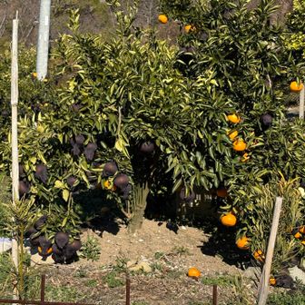 お疲れ様でした♪

今日は天気も良く風も無かったので、
気持ちよく歩くことが出来ました✨

今年はどの山に登ろうか今から楽しみ過ぎて、
ワクワクが止まりませんね🔥
頑張って鍛えなきゃっ💨