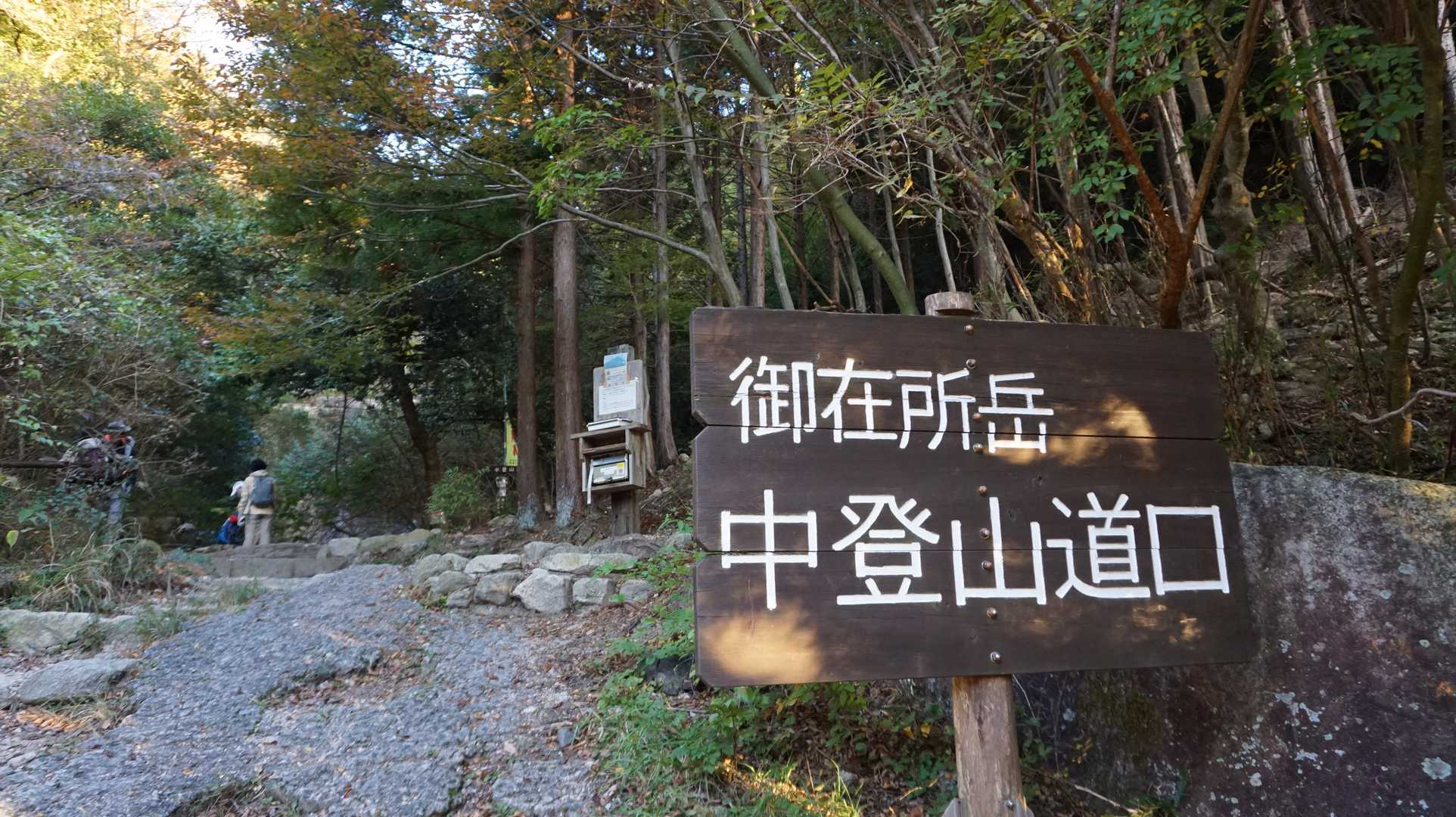 中登山道で登ります♪