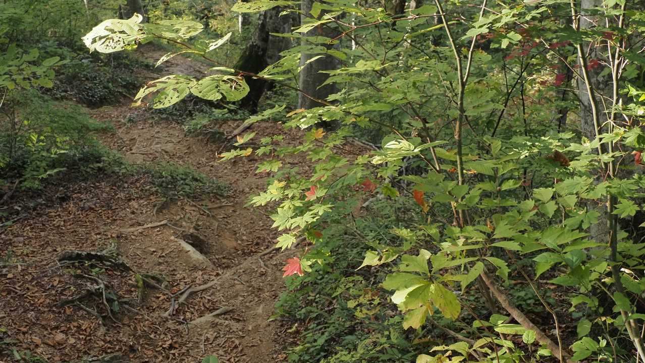 飯豊山、晩秋の稜線テン泊 の写真 4
