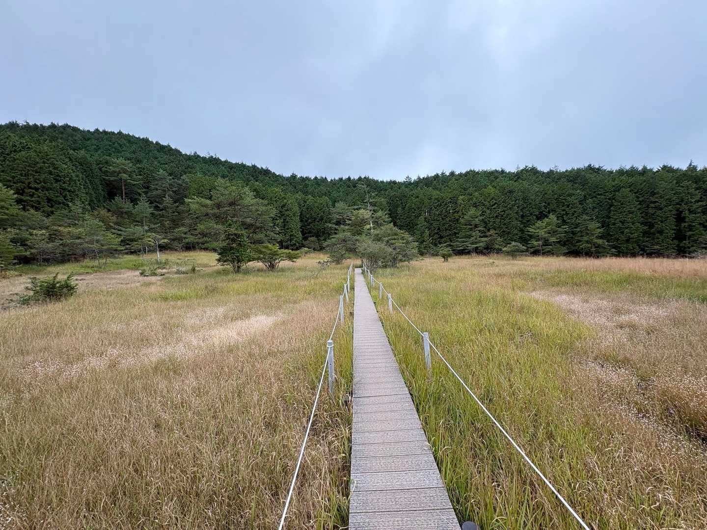 こんな景色いいよね☺️