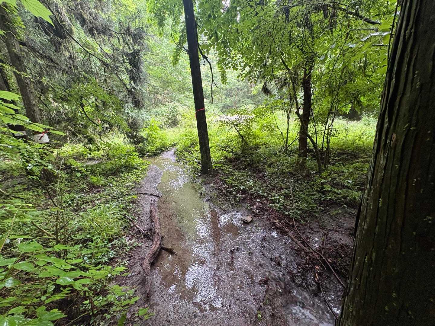 探検気分🎶