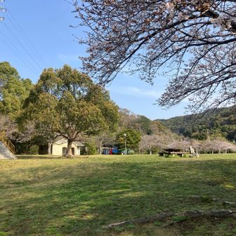 綺麗に整備された公園🛝トイレあります