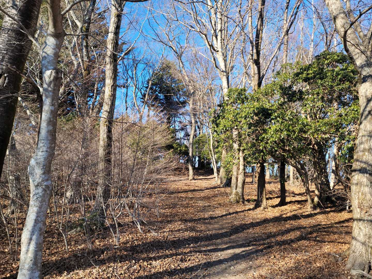 五社山（福島県双葉郡広野町）の写真