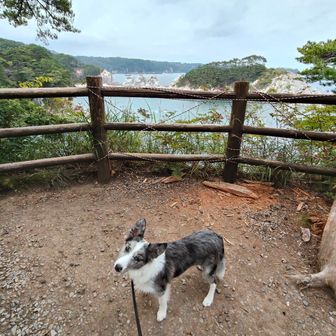 展望台です