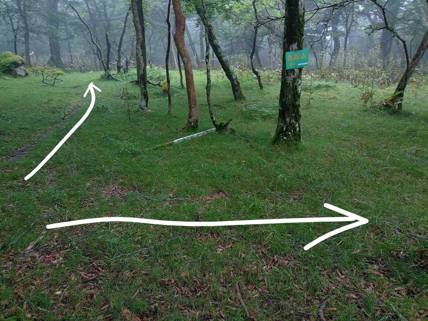 真っすぐ行くと左カーブして再び山頂。右へ行きます。