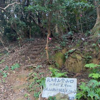 下ってここに出てきました