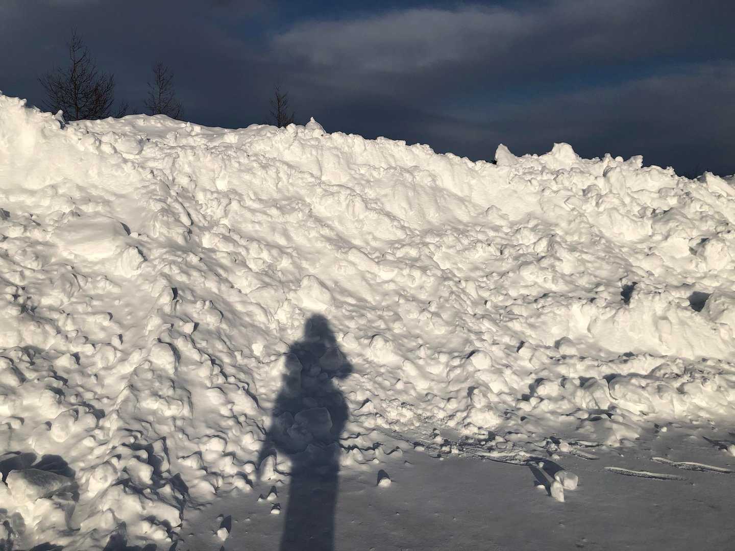 雪山🔰　無事下山です🙌
下りはチェンスパに変えたかったけど寒さで手が動かず最後までスノーシュー。
やっぱ下りはチェンスパの方が🏃‍♀️楽しいな。