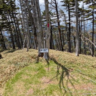 分岐点から尾根通しに明るい緩やかな斜面をひと登りで待望の南峰。