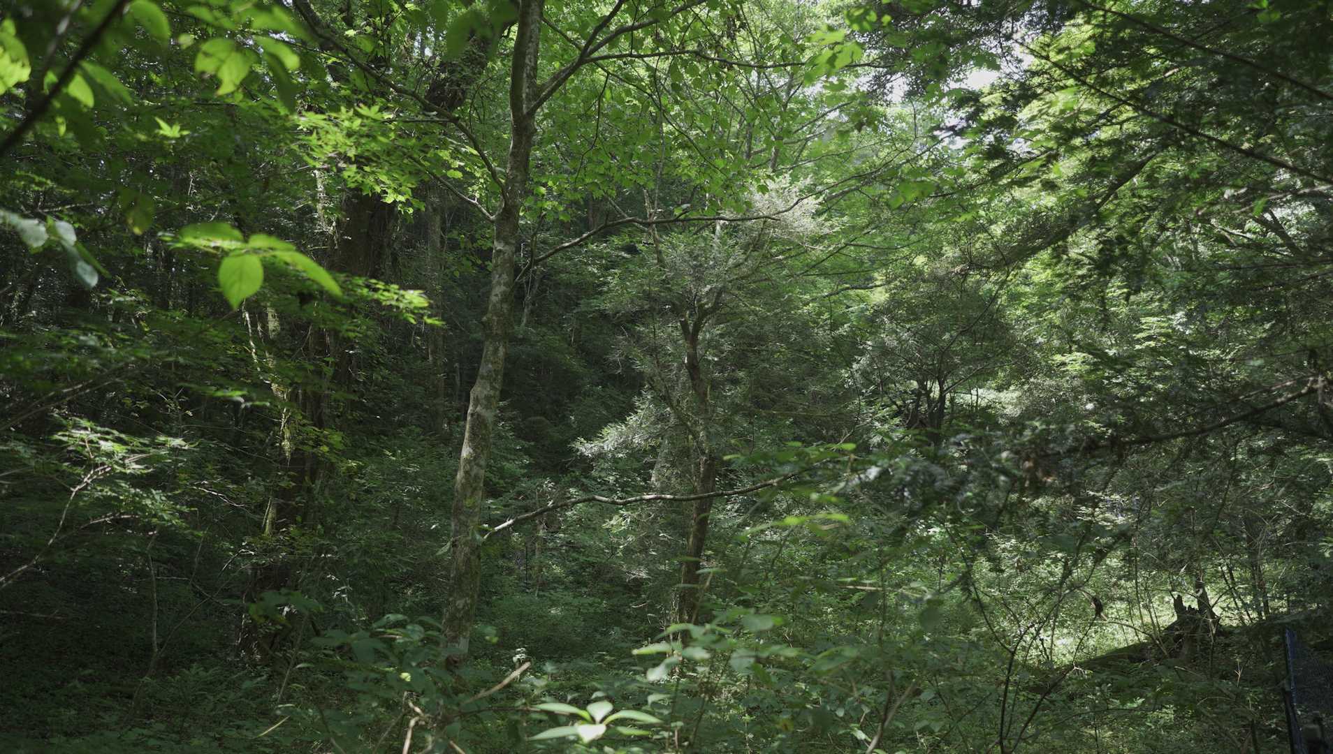 空池