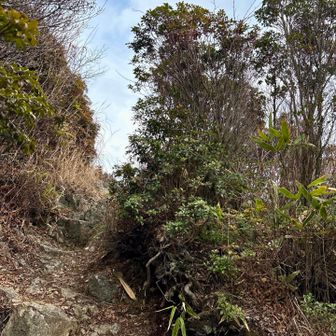 ようやく空が開けたら････