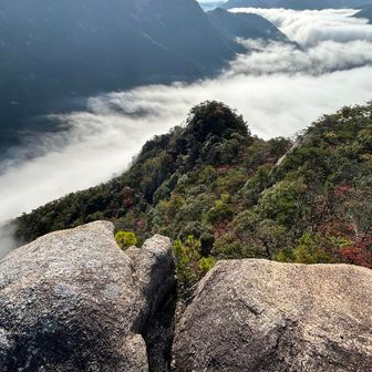 裏白滝山からダム湖を臨む。まだ霧が…