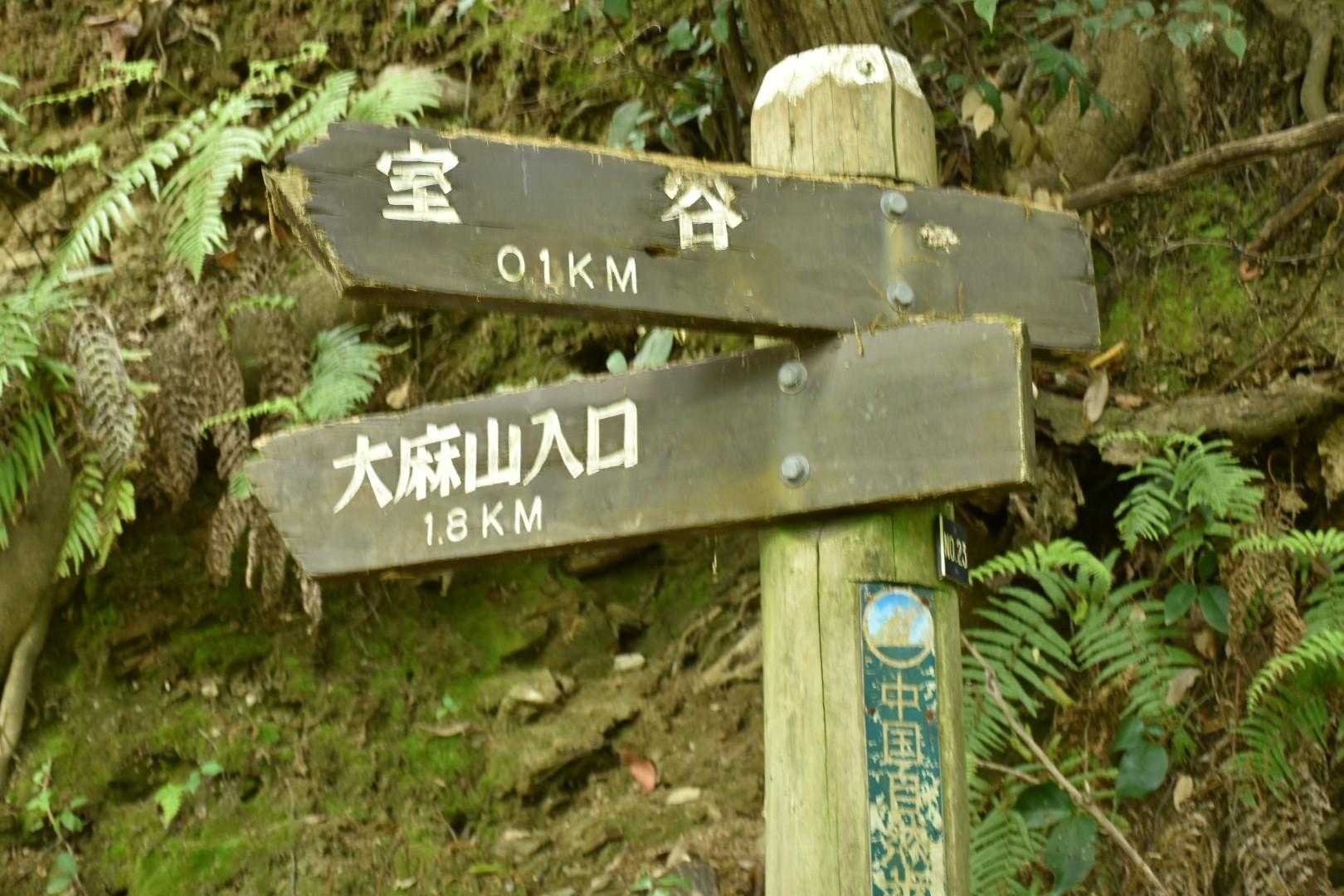 大麻山 往復コースの写真