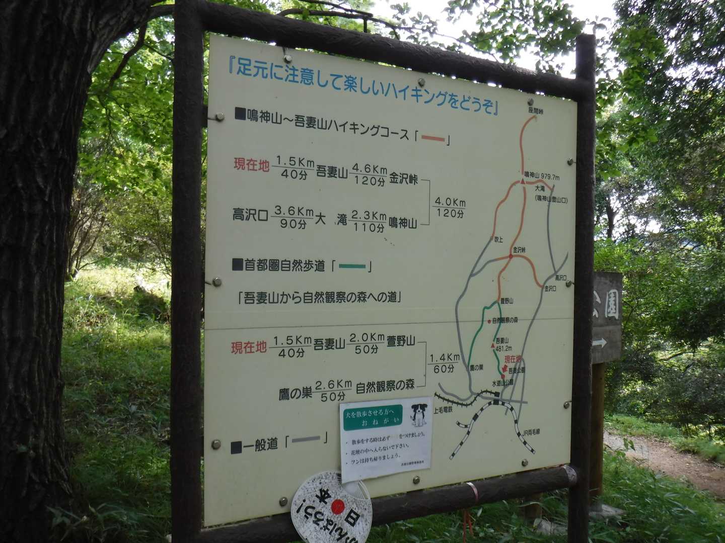 1.5km40分 だいたいそれくらいだったみたい