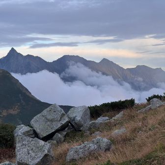 双六下山中にガスが抜けることもあり。戻って天空の滑走路を、とも思ったが止めた。
