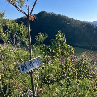 観音山の山頂てもあります。
登りの所要時間は3分ほど。😅
先ほど登った松尾山もよく見えます。
