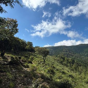 基本樹林帯の中を歩くことが多いですがここら辺から伊勢辻山くらいまでは周回コースを内に見ながら歩けるところがボチボチあります
