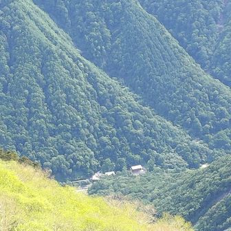 北岳草❀を探しにキタダケ(⁠ ⁠ꈍ⁠ᴗ⁠ꈍ⁠) 2024-6-22 / まき∞の登山