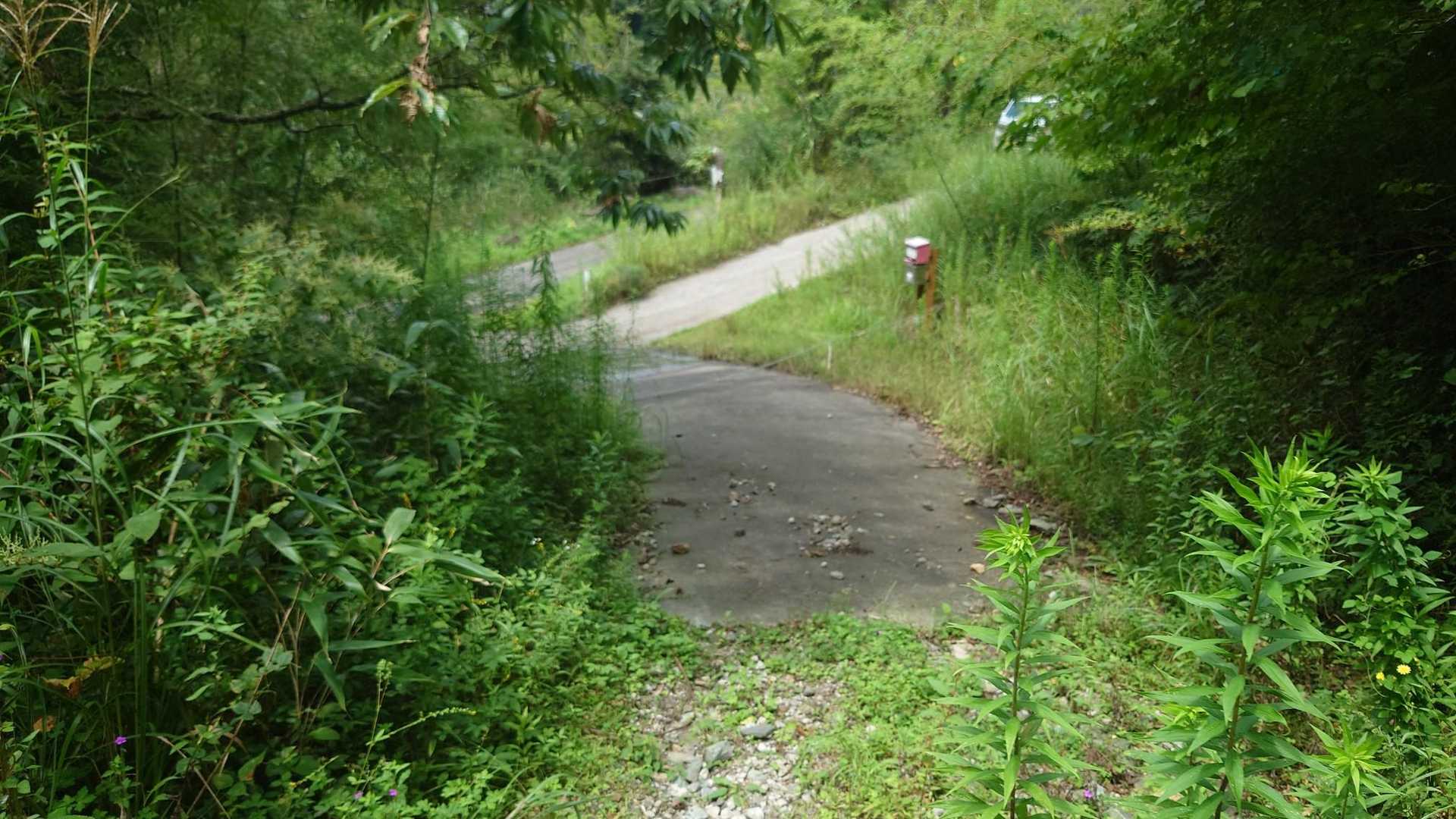 梅ヶ市登山口-堂ヶ森 往復コースの写真