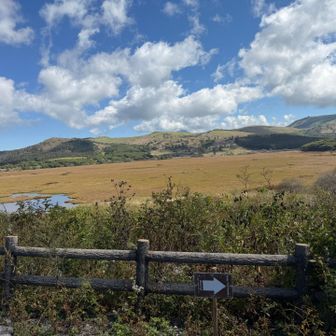 観光客の方々が沢山います！