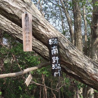 「南野山」
点名＝南野
標高＝332.61ｍ
四等三角点