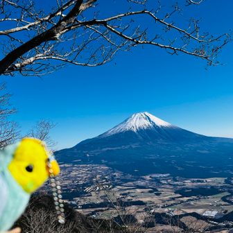 ラムと富士山🗻