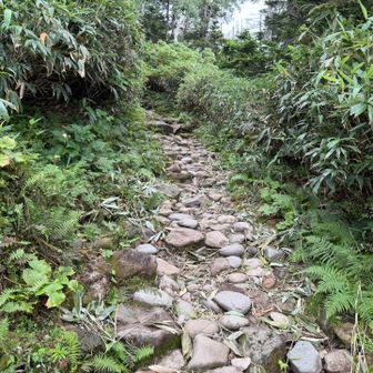 登りは殆ど岩だらけ