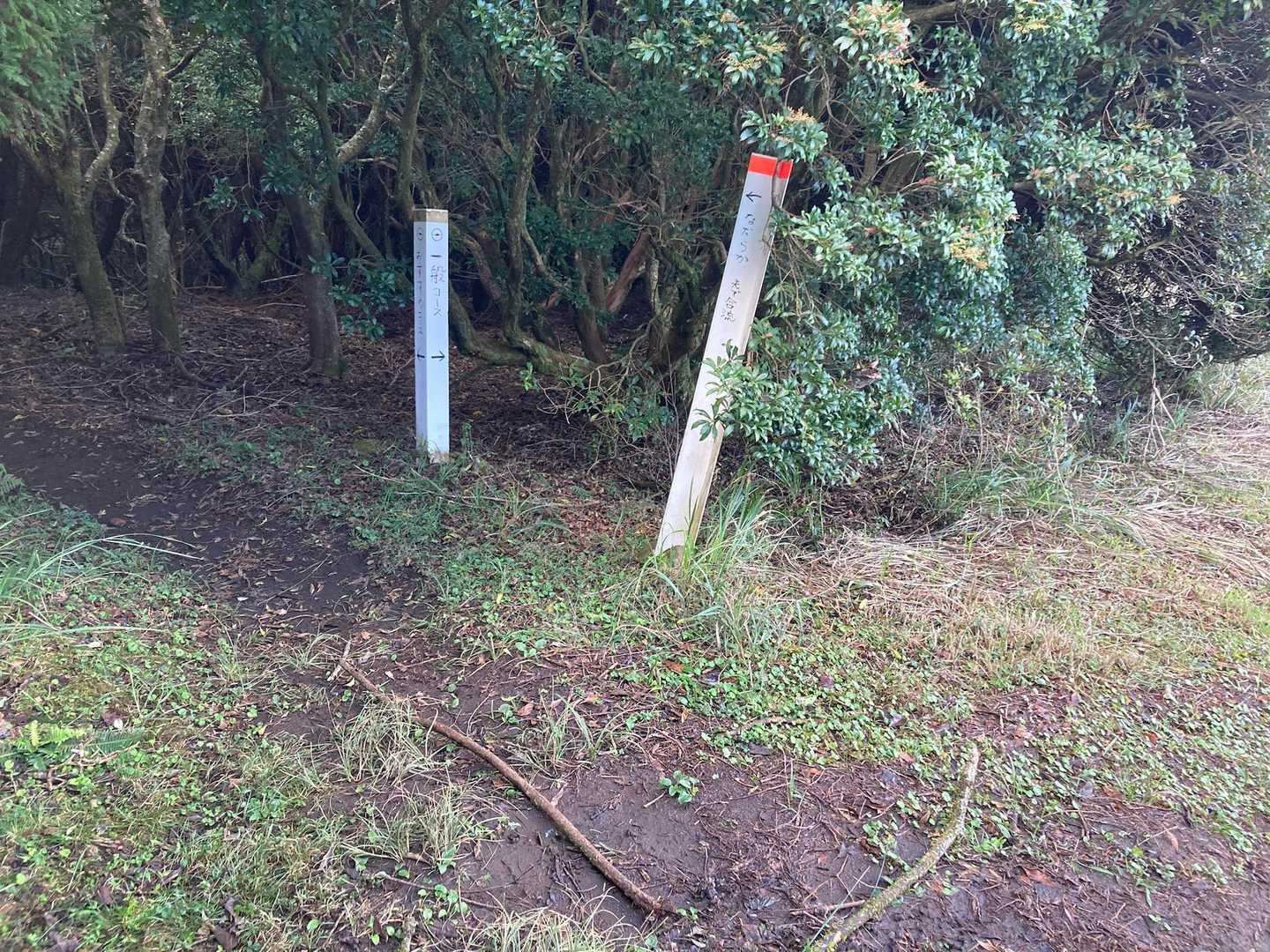 一般コースは階段が壊れてるとのことで、なだらかコースへ