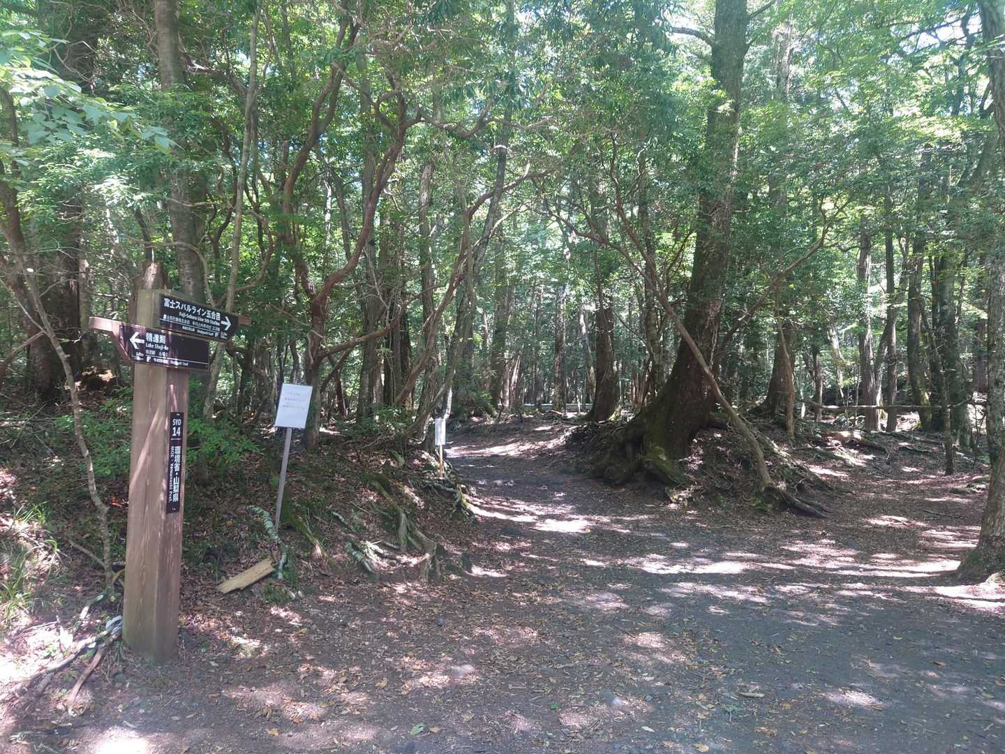 富士風穴-大室山-神座風穴附蒲鉾穴-大室洞穴 縦走コースの写真