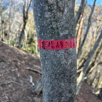 高指峰到着✌️