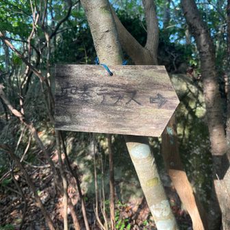 空奏テラスへ
