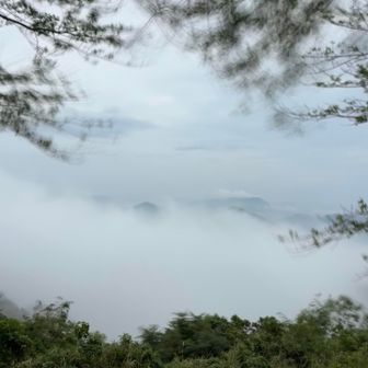 霧が激しく動き、稜線が見えたり隠れたり