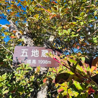 五地蔵山登頂👍