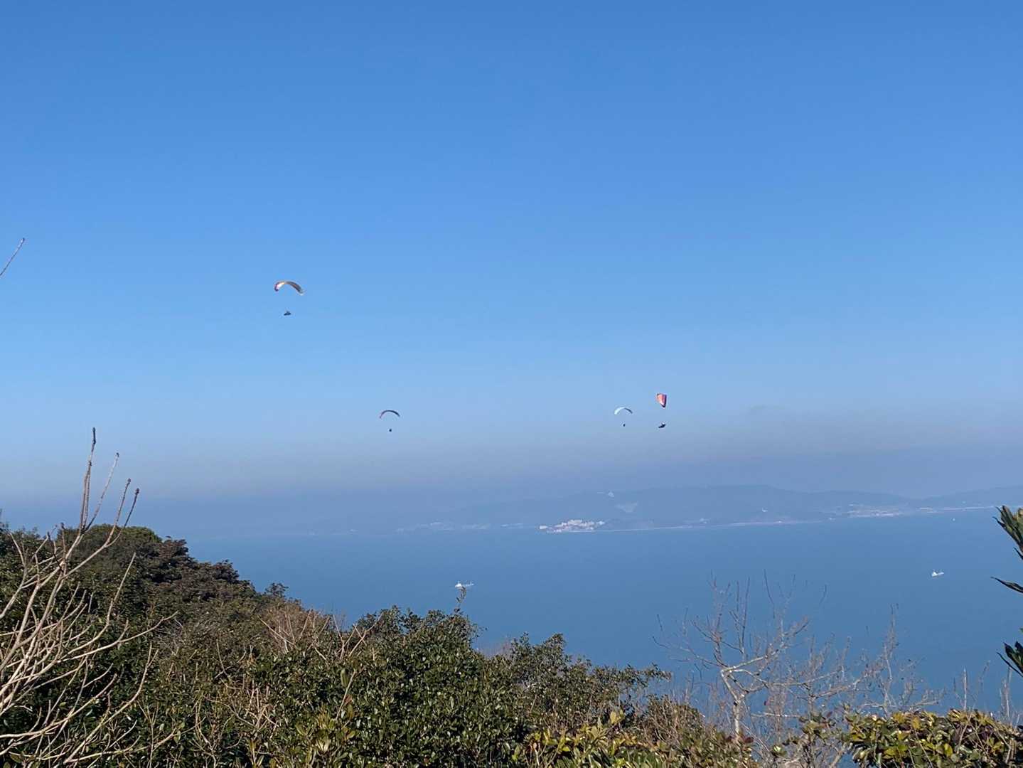 三河湾の上空を多くのパラグライダーが飛んでました🪂