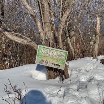 西峰とうちゃく！