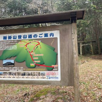 YAMAP地図では山頂〜大岩の間に鎖場とハシゴとあるので😱…急な岩コースで登るしかない