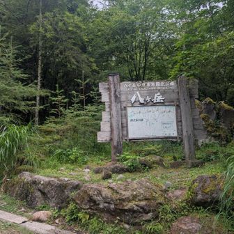 ありがとうございました！