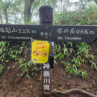 登りはここで本降りの雨