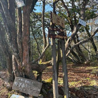 京都最高峰972m大原の里10名山Mt.minagoと情報たくさん