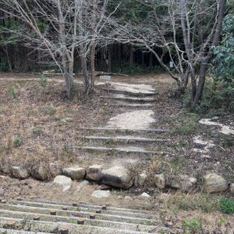 ココからまたピークを取りに行くよ🏃