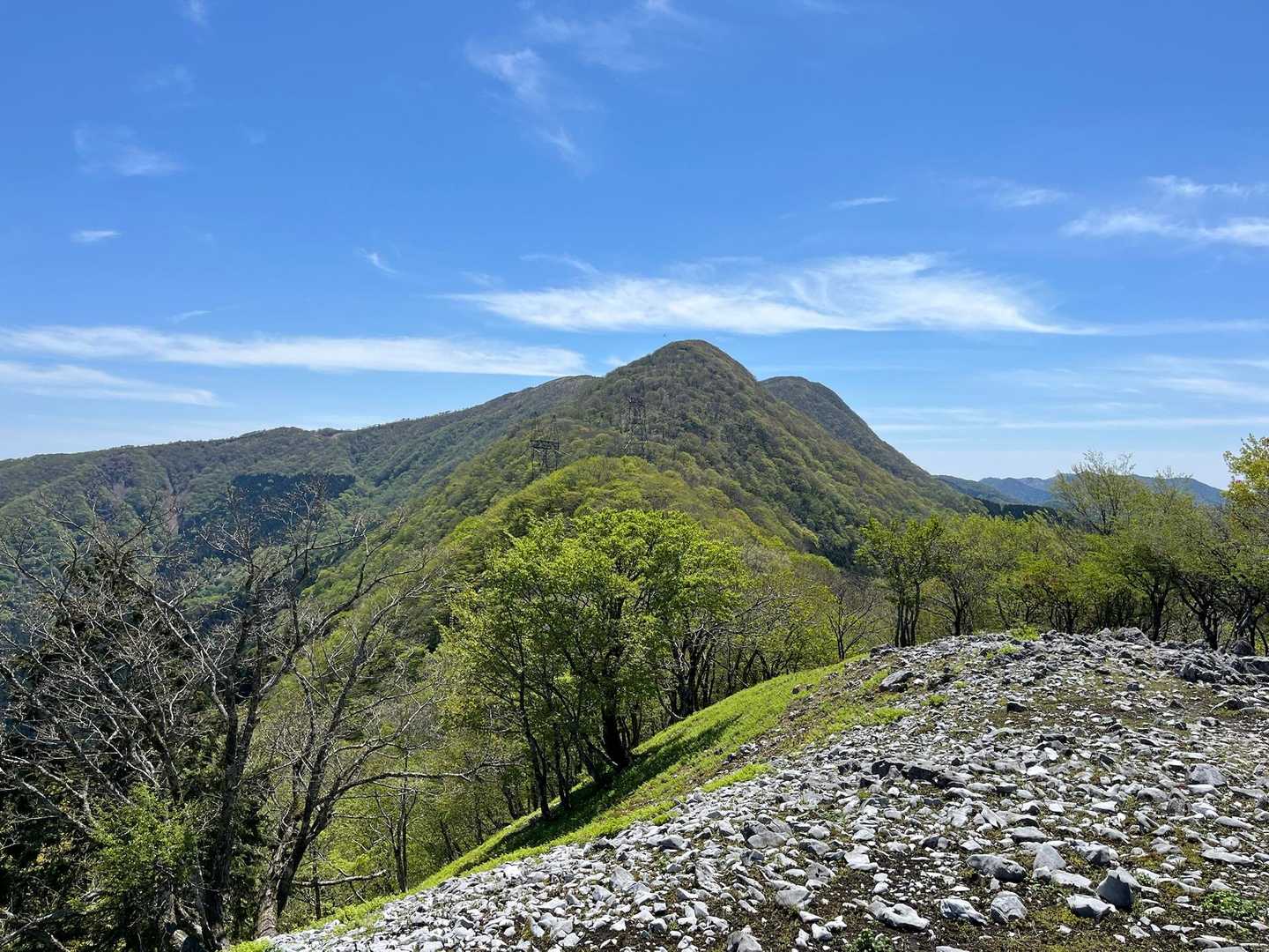 茶野-桜峠-鈴ヶ岳 往復コースの写真